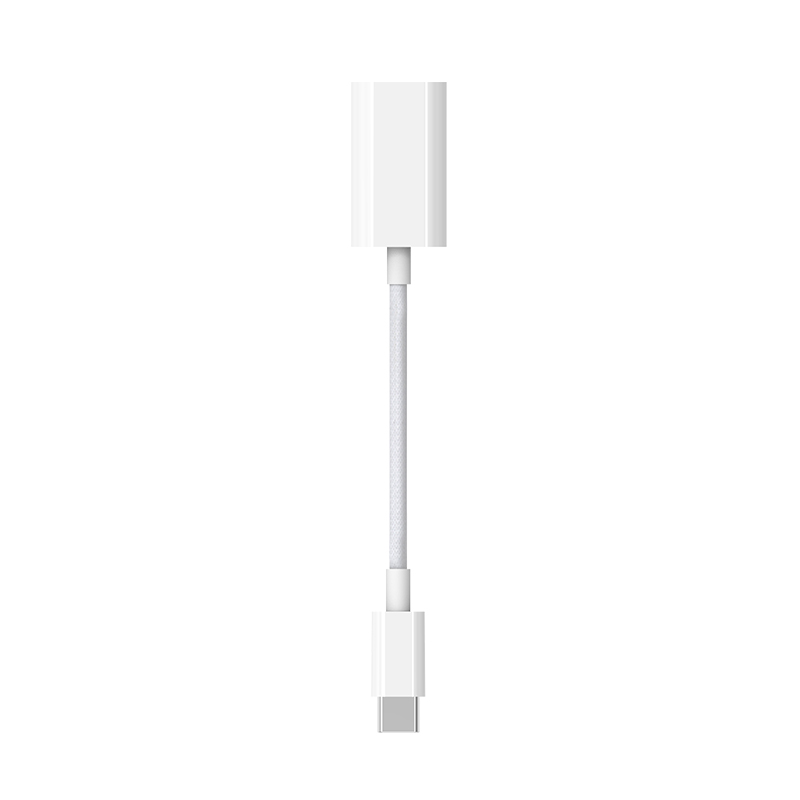 TYPEC to Lightning female adapter 10CM