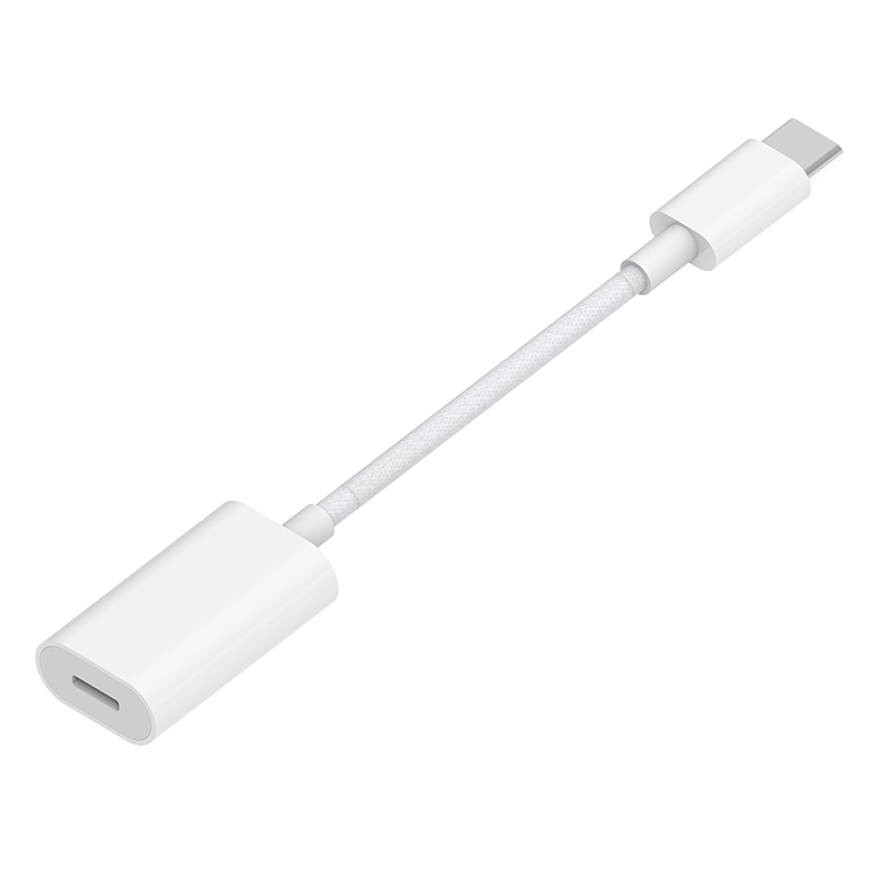 TYPEC to Lightning female adapter 10CM